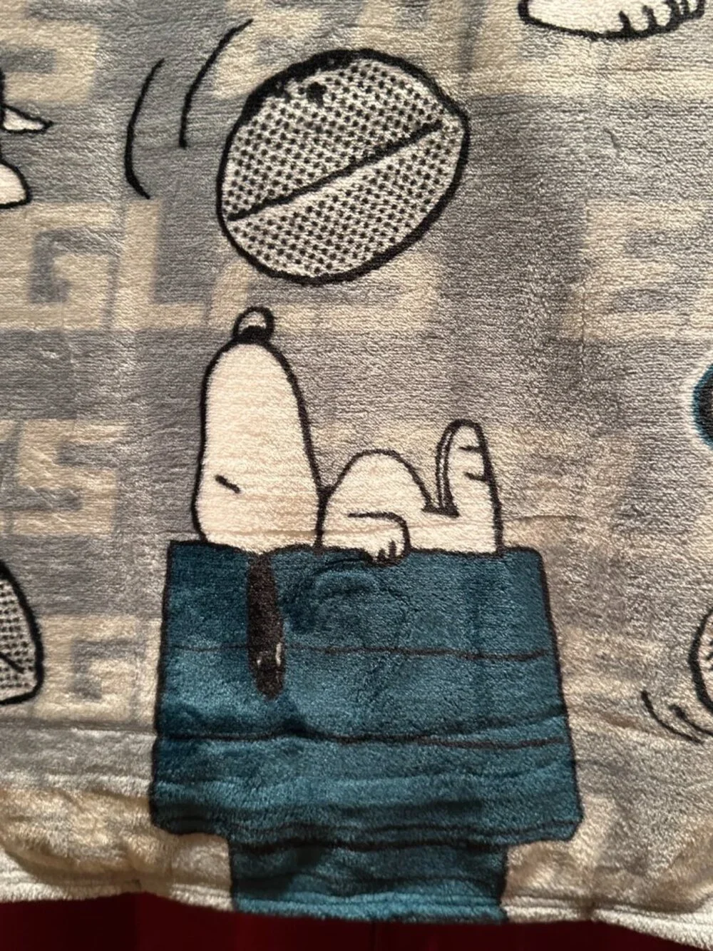 Peanuts NFL Philadelphia Eagles Snoopy 60